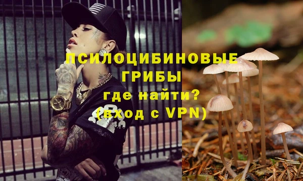 меф Бородино